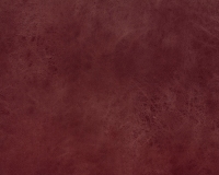 Kengoo-Wine