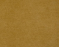 Ultra-Mustard