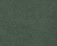 Ultra-Olive