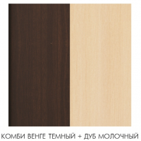 kombi-venge-temnij-dub-molo4nij