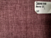 Berry-11