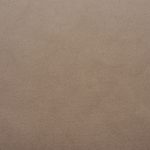 06 Unfussy Beige