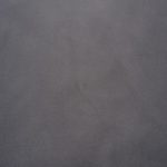 18 SILVER POPLAR