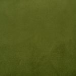 25 FOREST GREEN