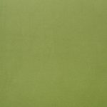 26 SPRING GREEN