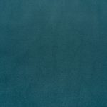 29 SALFISH BLUE